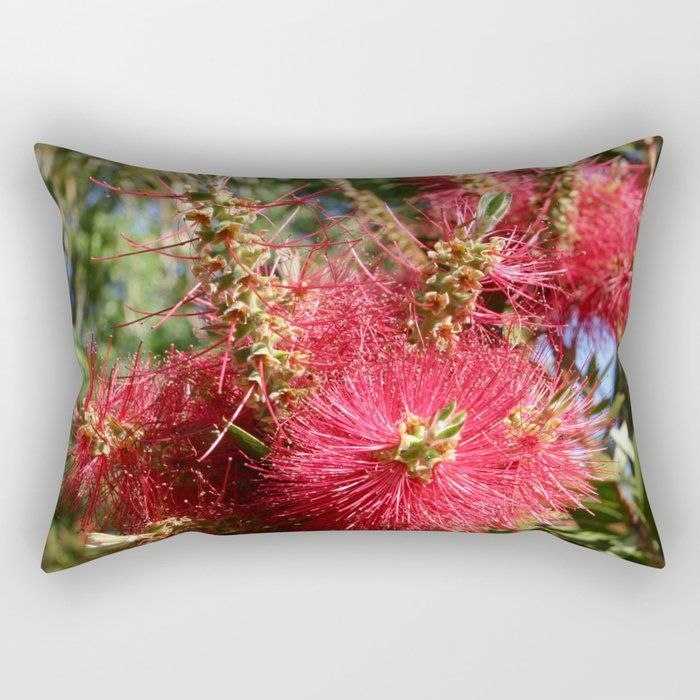 Argentina Photography - Callistemon Speciosus In The Argentine Forest Rectangular Pillow