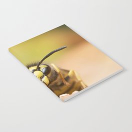 German Wasp. Notebook