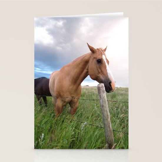 Horse Stationery Cards