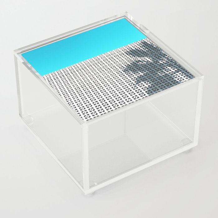 Parker Palm Springs with Palm Tree Shadow Acrylic Box