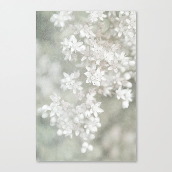 fading Canvas Print