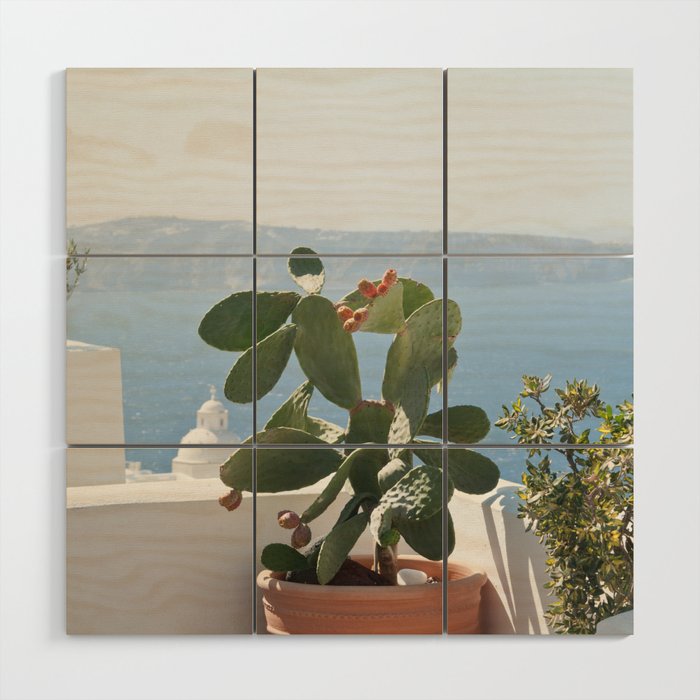 Santorini Cactus Dream #3 #minimal #wall #decor #art #society6 Wood Wall Art