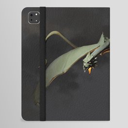 Dragon iPad Folio Case