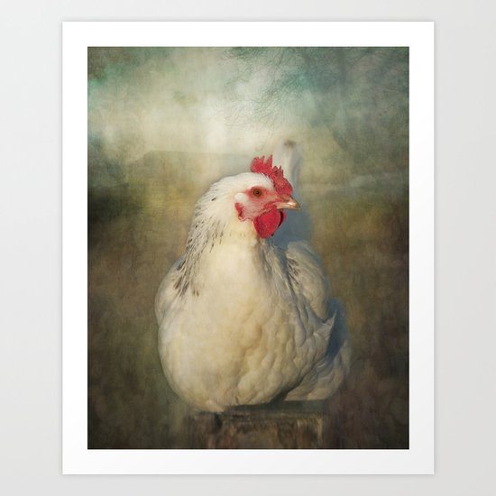 Catching the early morning rays. Art Print
