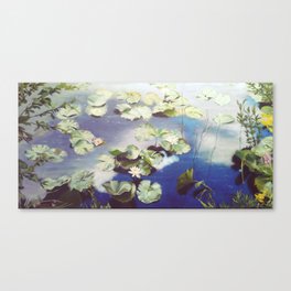 botanical water lilies Canvas Print