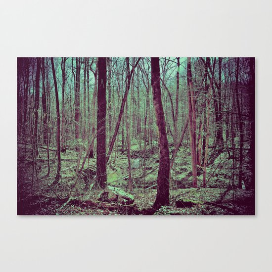 hollow Canvas Print