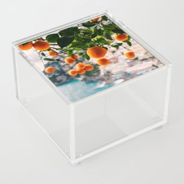 Amalfi Coast Oranges Acrylic Box