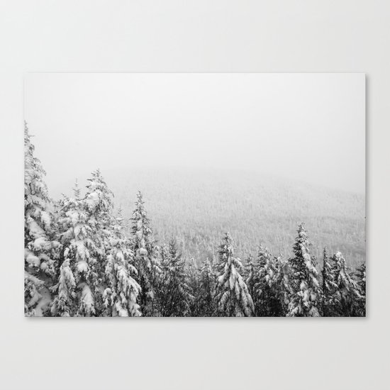 Winter vibes #evergreen #society6 Canvas Print