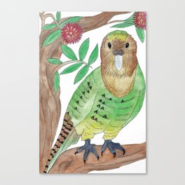 Kakapo Canvas Print