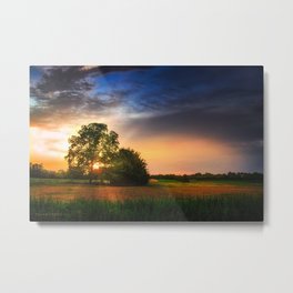 Two trees in the field Metal Print