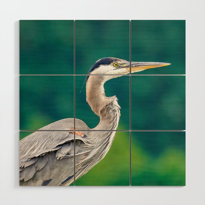 Great Blue Heron against Green Wood Wall Art