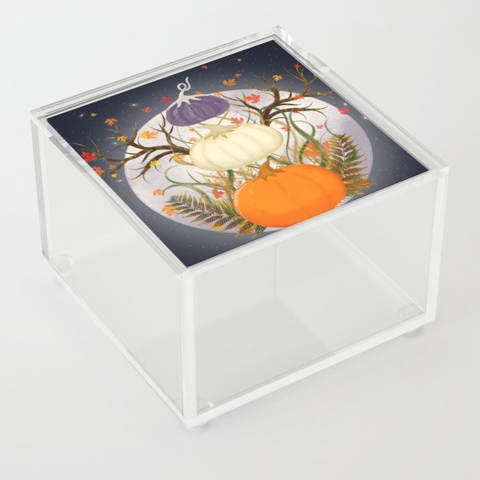 Floating Frosted Pumpkins Acrylic Box