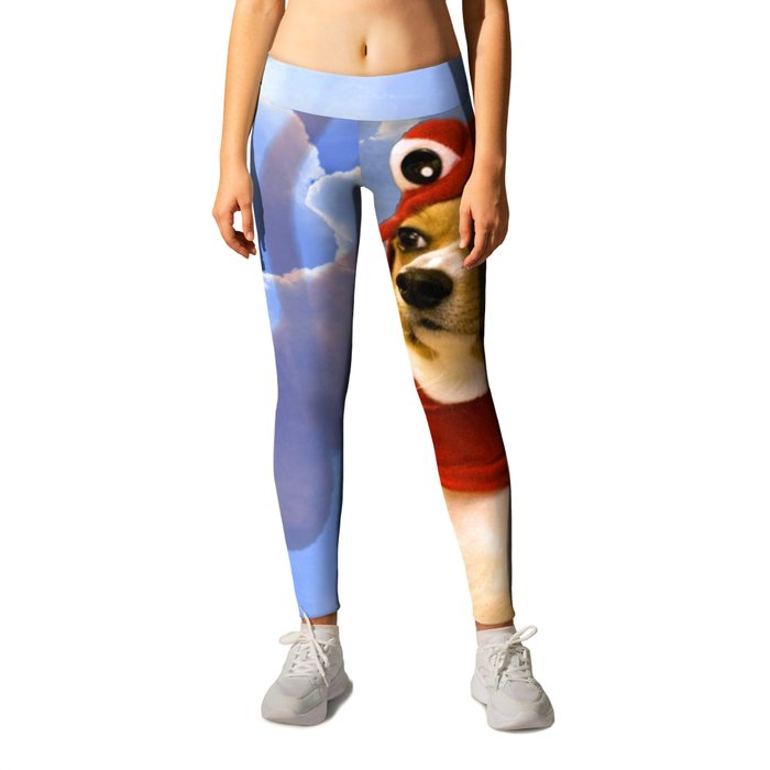 Corgi legging store