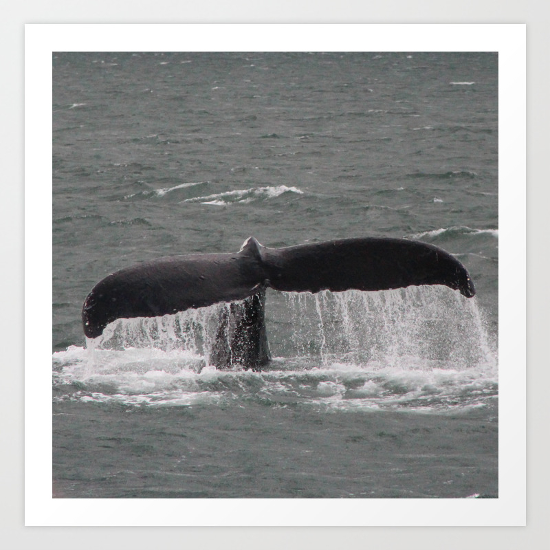 Humpback Whale Tale Art Print By Susannefloyd Society6