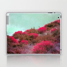 the hill Laptop & iPad Skin