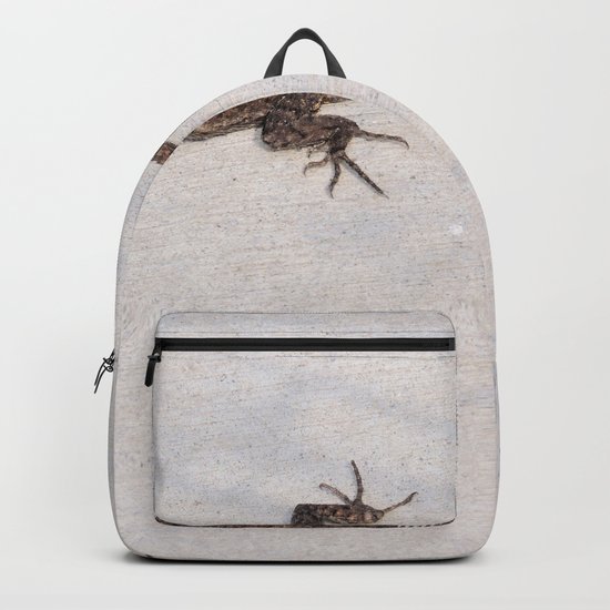 Heat-Loving Lizard Backpack