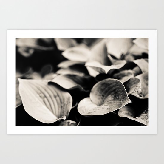 Flirt Art Print