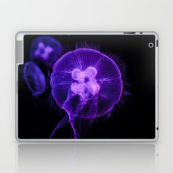 Colorful Jellyfish 5 Laptop & iPad Skin