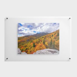 Fall on Rough Ridge  Floating Acrylic Print
