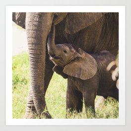 Elephant Mother & Baby Art Print