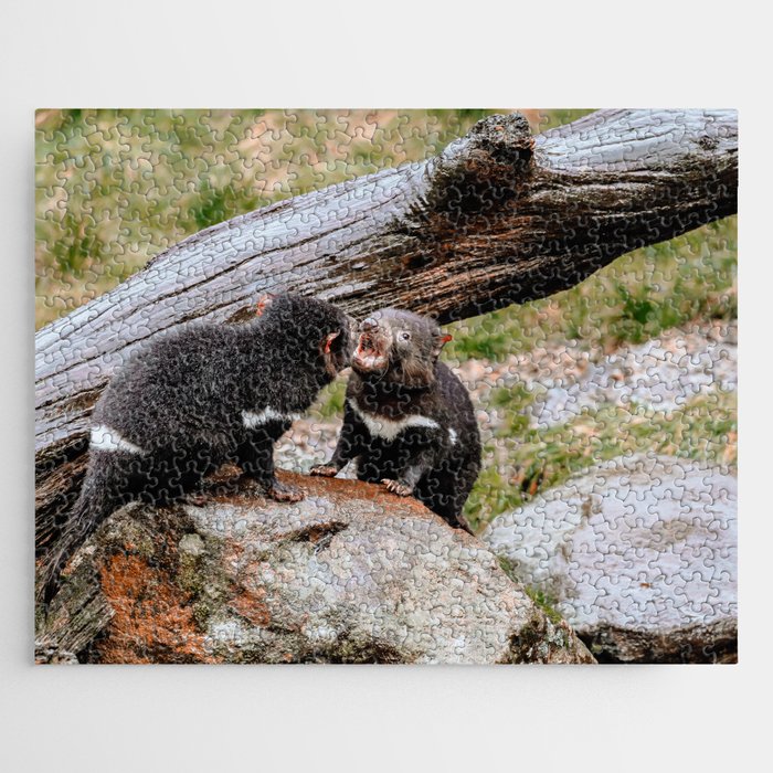 You Little Devil | Tasmania, Australia Jigsaw Puzzle