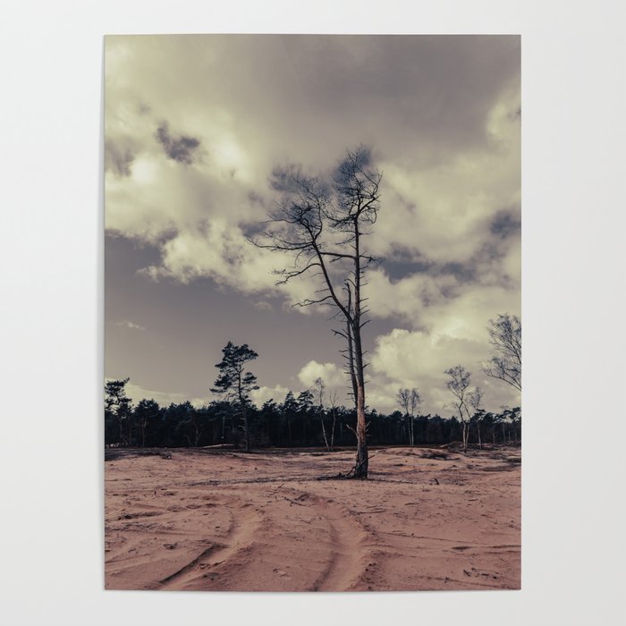 Lonely pinetree Poster