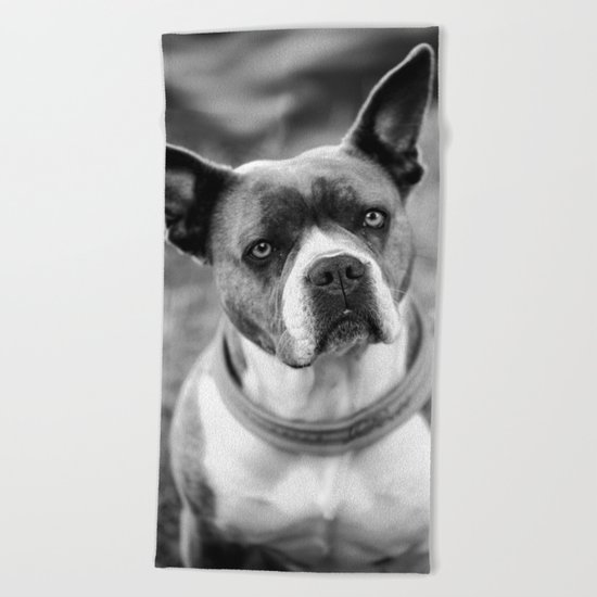 Dogs Beach Towel