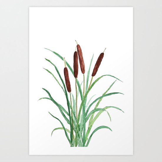cattails plant Art Print