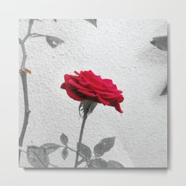 Red Rose Metal Print | Singlerose, Rosepetals, Decorative, Blossom, Photo, Redflower, Floral, Red, Color, Summerflower 