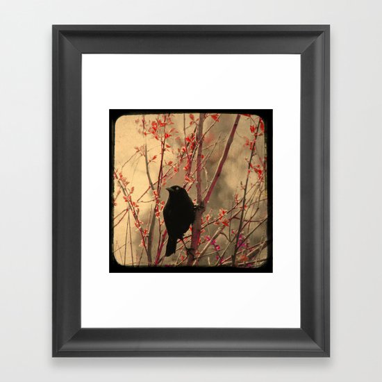 Grackle Framed Art Print