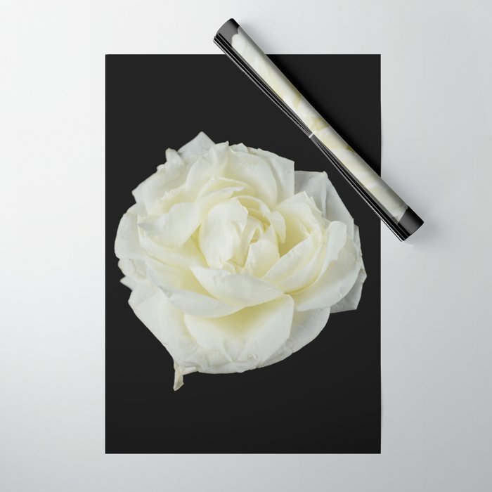 White rose on black Wrapping Paper by Lora Si