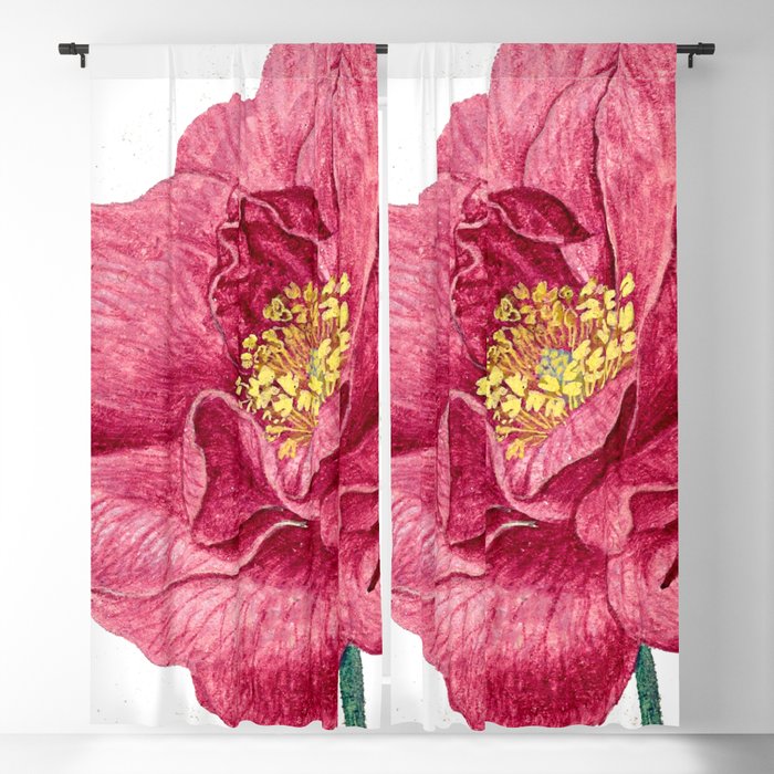 French rose  Blackout Curtain