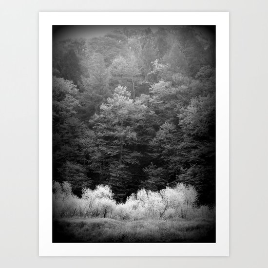 The Forest Keeps Secrets Art Print