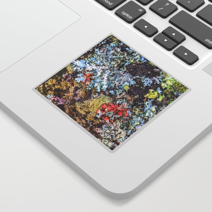 Lichen 1 Sticker