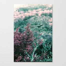 Mount Field National Park Tasmania Psychedelic  Canvas Print