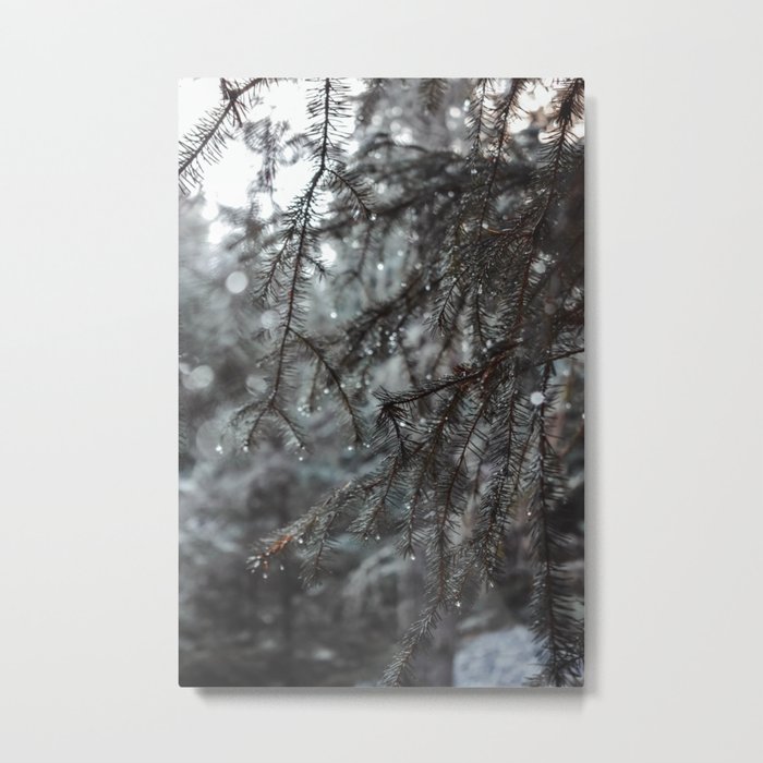 Frosted Tips Metal Print