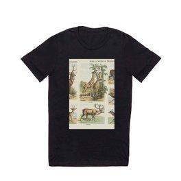 Ruminating or cloven-hoofed animals, Arie Willem Segboer, 1903 - 1919 T Shirt