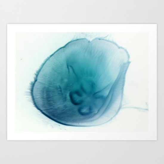 Aurelia Art Print