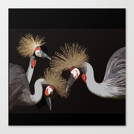 Crested cranes Canvas Print