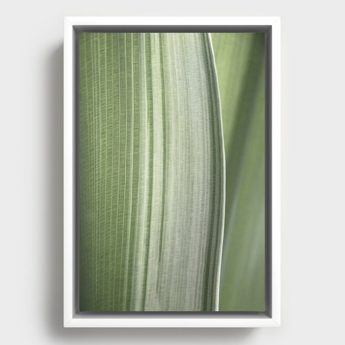 Botanical green abstract tropical leaf art print - mindful nature and travel photography Framed Canvas