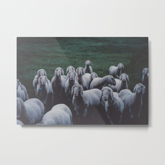 meh Metal Print