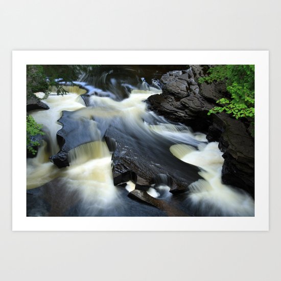 Silky Art Print