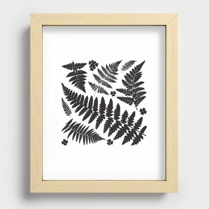 Black and White Ferns Recessed Framed Print