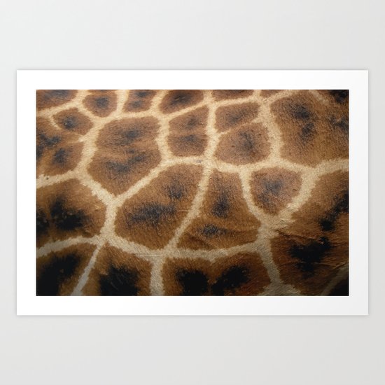 Giraffe Skin Art Print