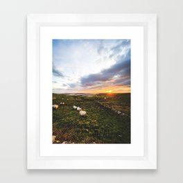Sheep of Ireland Framed Art Print