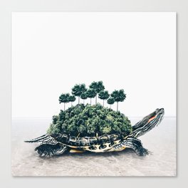 Giant Turtle Canvas Print