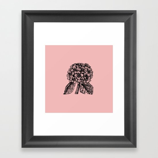 Pink Hydrangea Framed Art Print