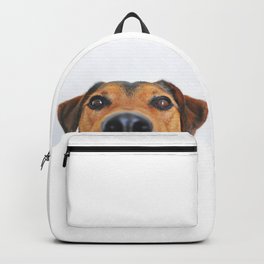 Dog looking at you Backpack