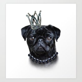 Royal Black Pug Art Print