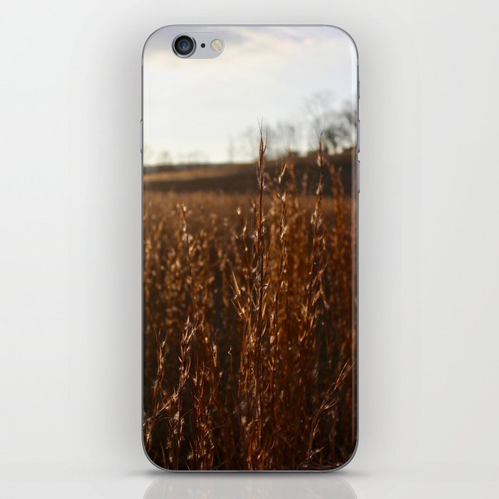 Autumn Fields iPhone Skin